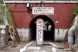 平松町から見たマンボウ